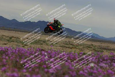 media/Jan-14-2023-SoCal Trackdays (Sat) [[497694156f]]/Turn 14 Exit Bloomig (145pm)/